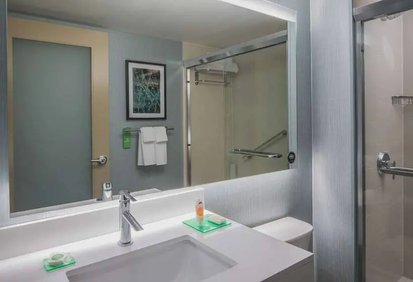 سوئیت با تخت بزرگ, Hyatt Place Long Island City/new York City