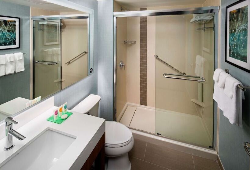 高级寓所标准房间, Hyatt Place Long Island City/new York City