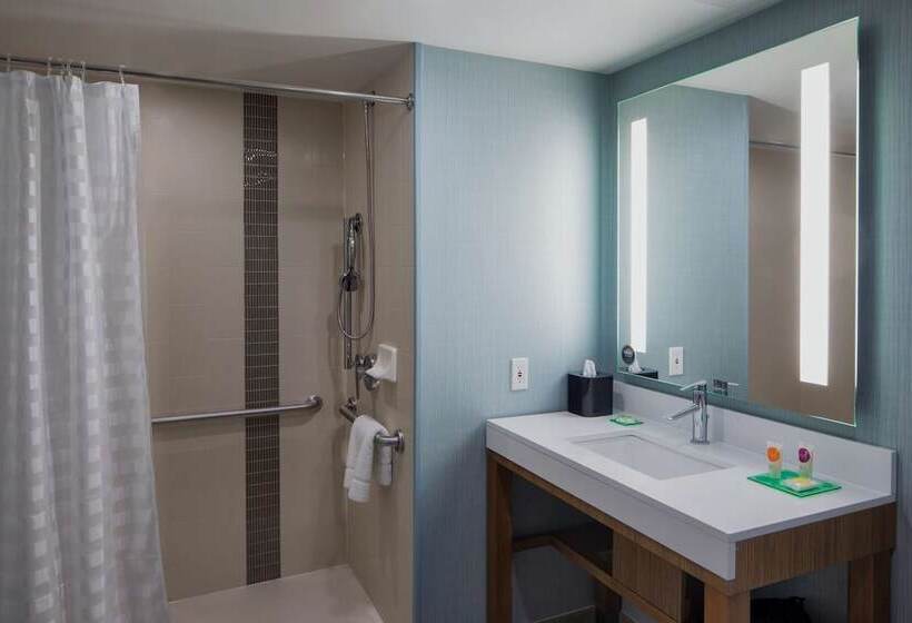 اتاق استاندارد برای معلولان, Hyatt Place Long Island City/new York City