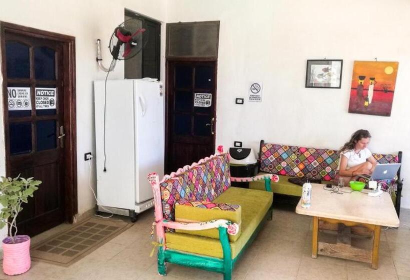 تختخواب در اتاق مشترک, Deep Blue Divers Hostel Dahab