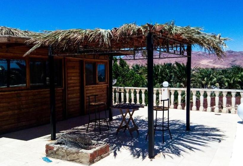 اتاق استاندارد با تخت‌های تاشو, Deep Blue Divers Hostel Dahab