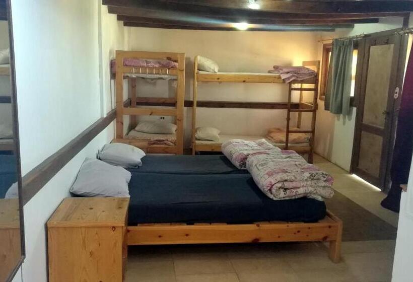 اتاق استاندارد با تخت‌های تاشو, Deep Blue Divers Hostel Dahab