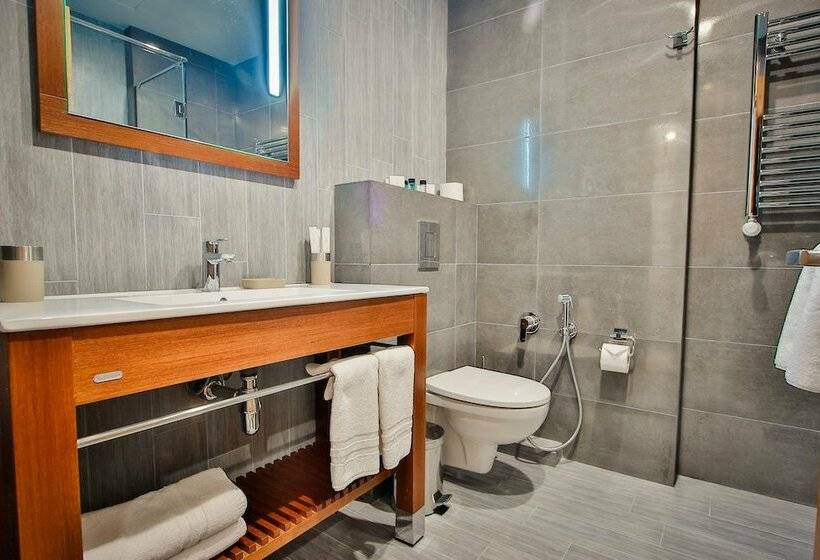 اتاق لوکس, Ameri Plaza Tbilisi