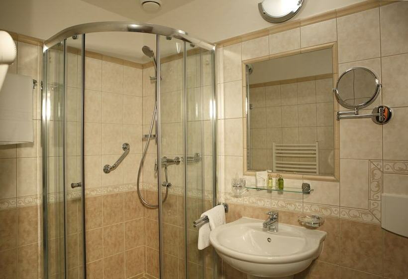 غرفة قياسية, Bristol Kralovska Vila