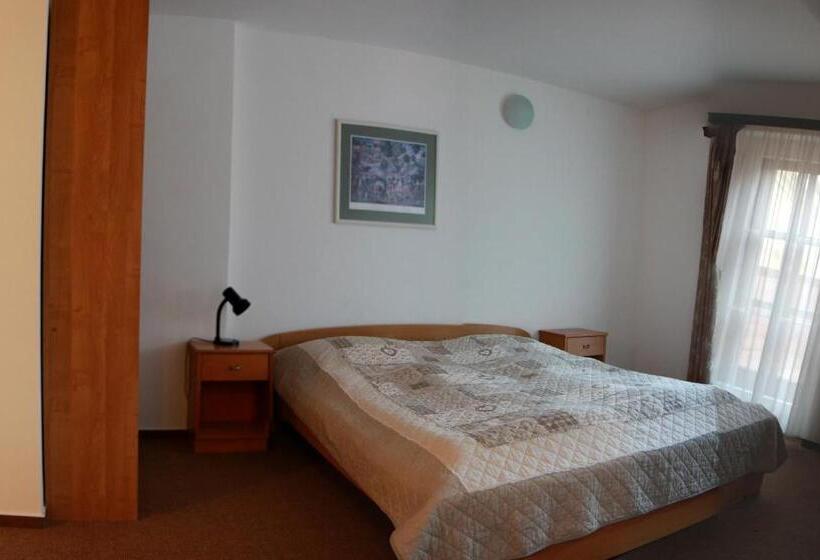 带2个卧室的公寓, Penzion Bohemia