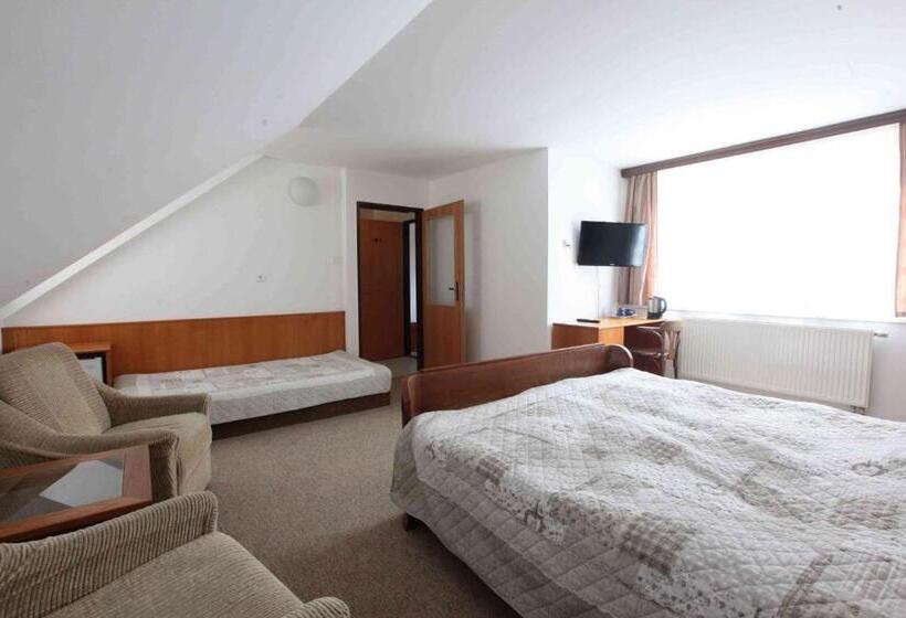 三人经典房间, Penzion Bohemia