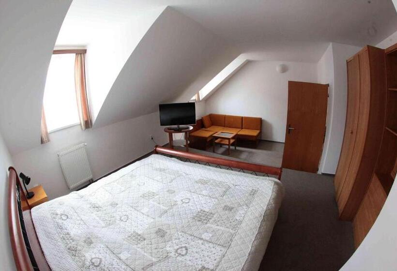 带2个卧室的公寓, Penzion Bohemia