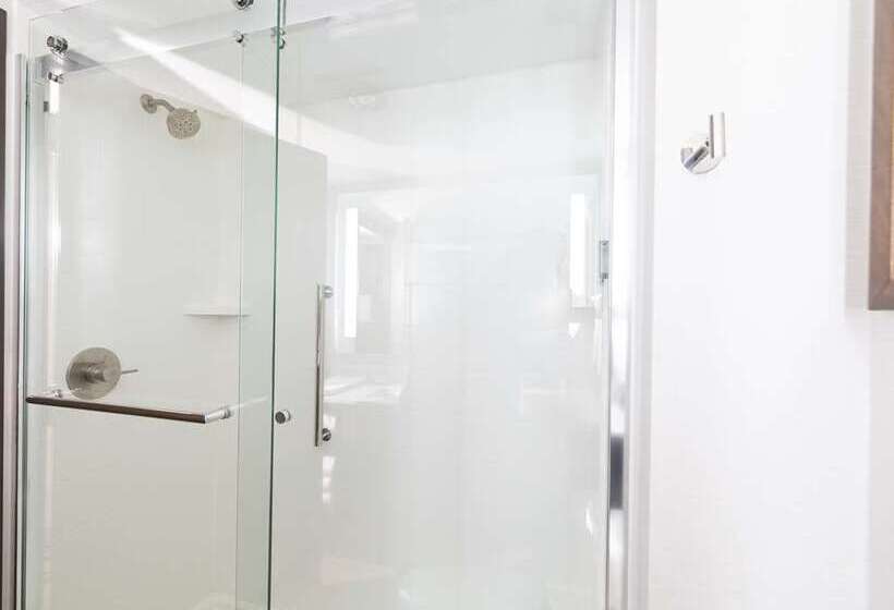 Camera Standard Letto King, Tru By Hilton Cedar Rapids Westdale