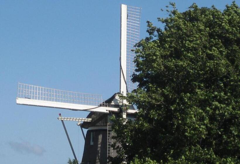 Escritório Estándar, Quarenta Studio