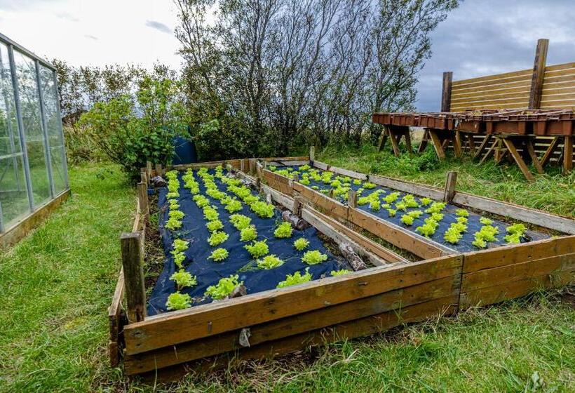 اتاق استاندارد با سرویس بهداشتی مشترک, Arnanes Country