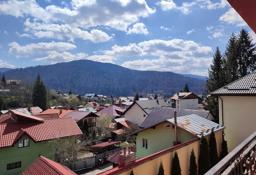 חדר סופריור לשלושה, Iri