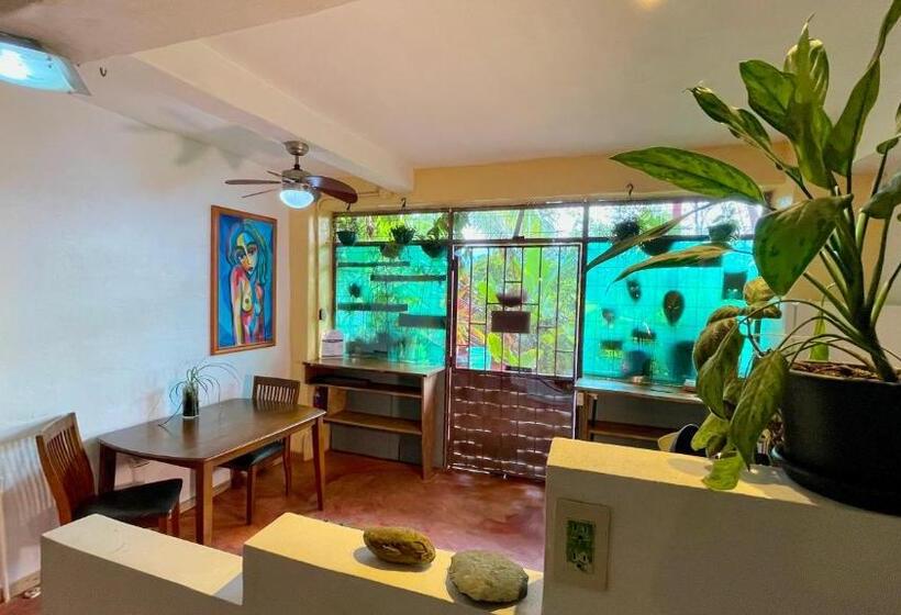 דירת חדר, Villas Jacquelina