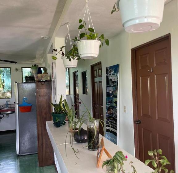 חדר אקונומי יחיד, Villas Jacquelina