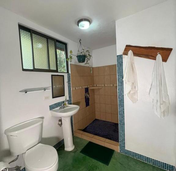 חדר אקונומי יחיד, Villas Jacquelina