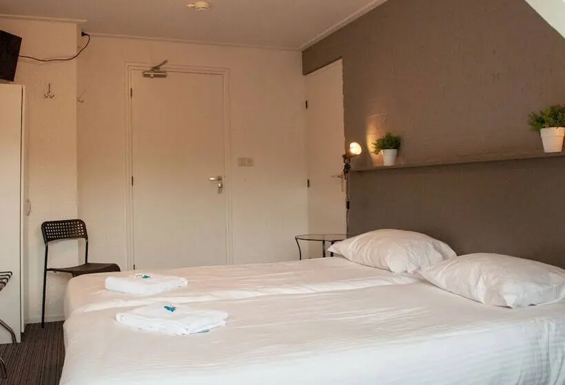 Standard Room, Wyllandrie