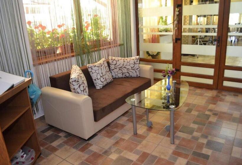 Номер Стандарт с Балконом, Pensiunea Georgia