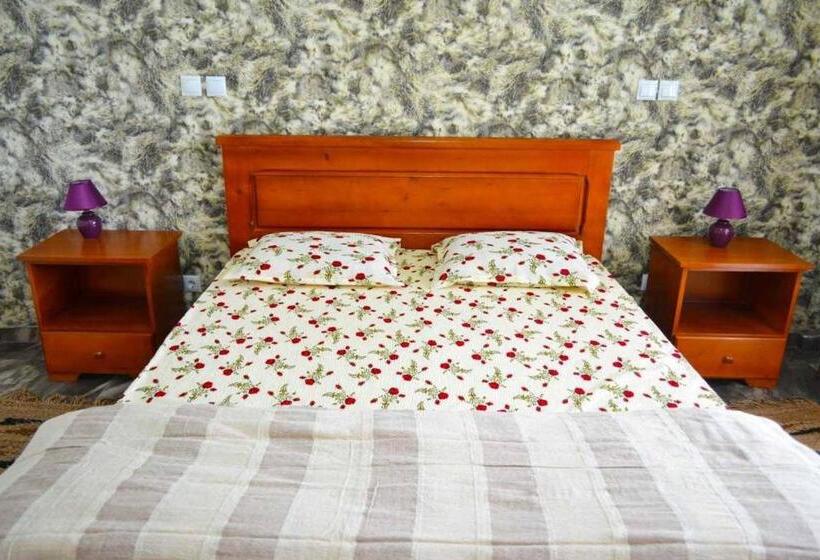 Номер Стандарт с Балконом, Pensiunea Georgia