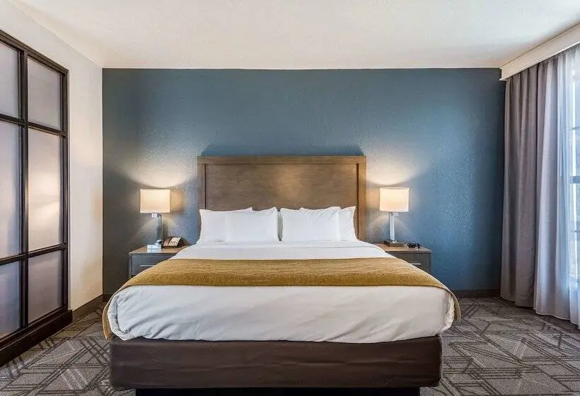 身障者適用スイートルーム, Comfort Inn & Suites Salt Lake City Airport
