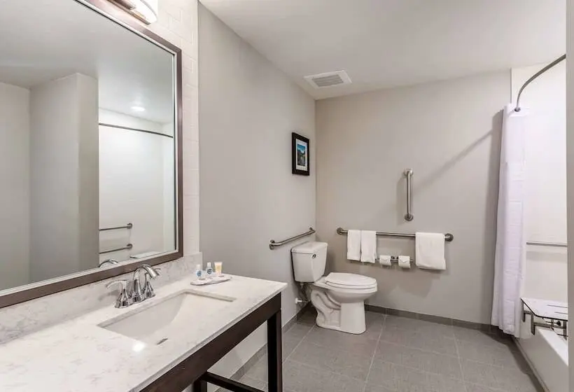 身障者適用スイートルーム, Comfort Inn & Suites Salt Lake City Airport