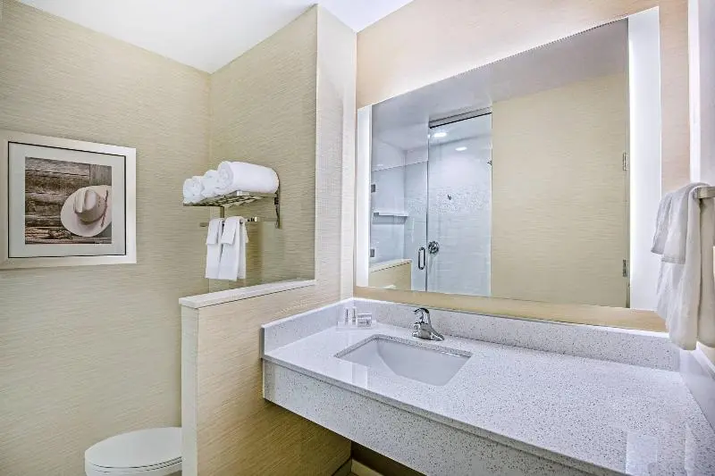 Standard-huone King-vuode, Fairfield Inn & Suites By Marriott Van