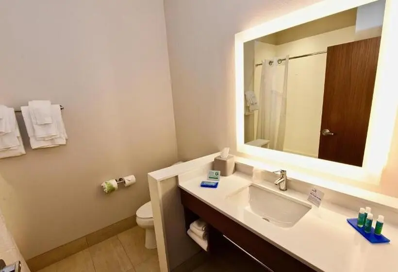スタンダードルーム, Holiday Inn Express & Suites   Perryville I 55, An Ihg