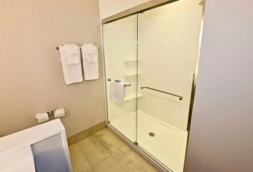スイート, Holiday Inn Express & Suites   Perryville I 55, An Ihg