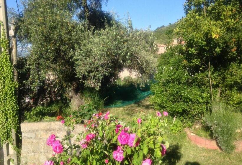 스탠다드 룸 가든 전망, Les Calanques