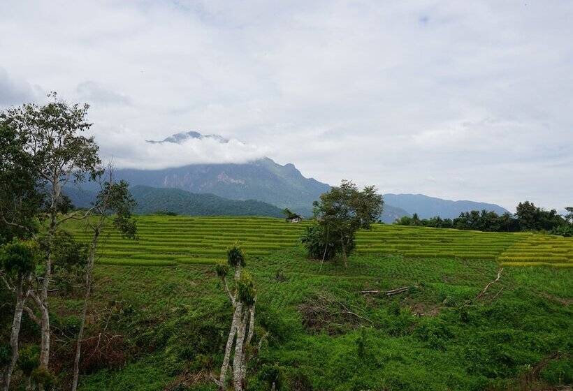 Номер Стандарт, Buraphat Resort