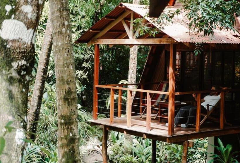 带花园景观的标准洋房, Calala Lodge