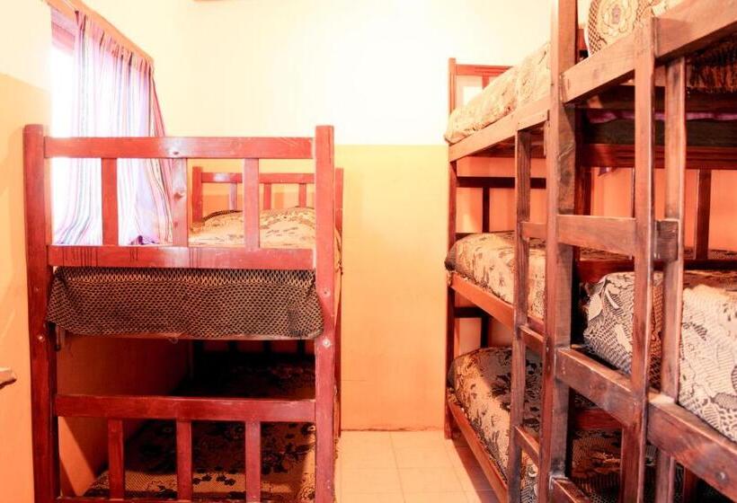 ルームシェアのワンベッド, Tierra Andina Hostel