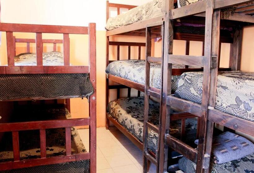 共用房间的床, Tierra Andina Hostel