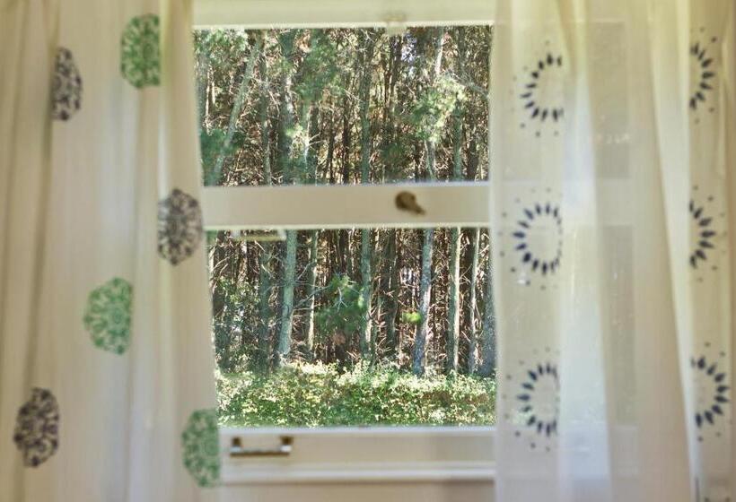 Habitación Estándar, Hosteria Mi Casa En La Sierra