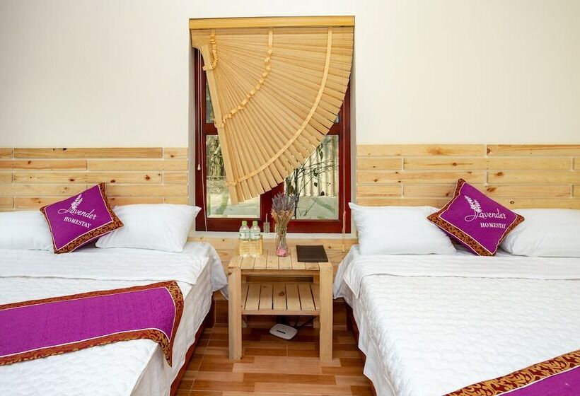 اتاق استاندارد چهار تخته, Tam Coc Lavender Homestay