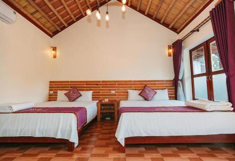 اتاق استاندارد چهارنفره با چشم‌انداز باغ, Tam Coc Lavender Homestay