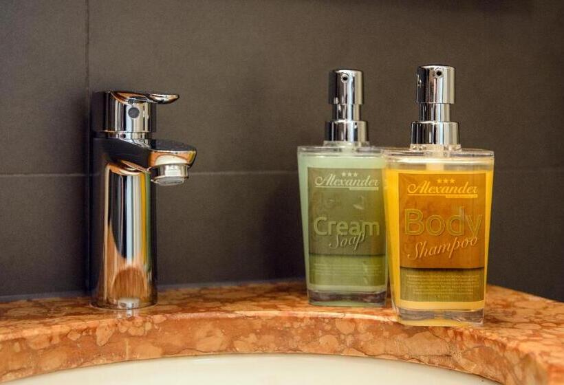 اتاق استاندارد یک نفره, Alexander Guesthouse Zurich Old Town