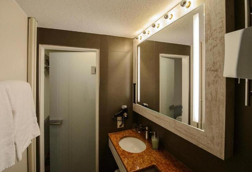اتاق استاندارد یک نفره, Alexander Guesthouse Zurich Old Town