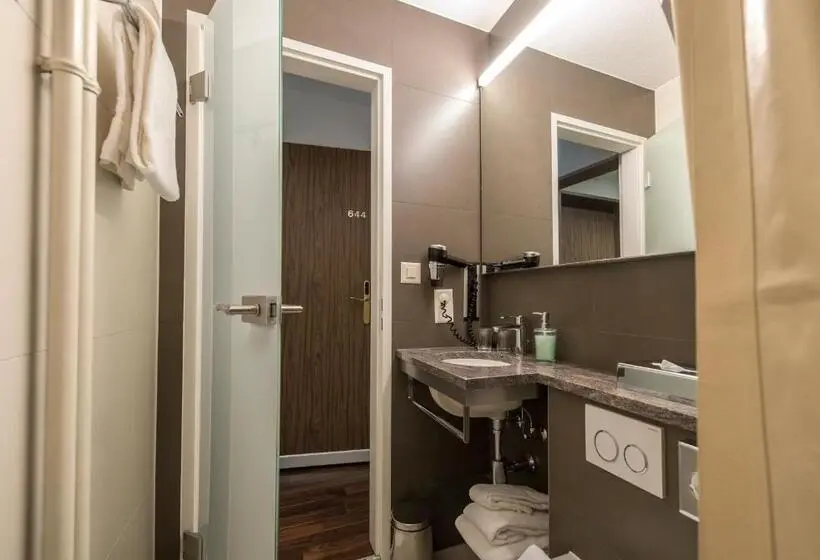 اتاق استاندارد یک نفره, Alexander Guesthouse Zurich Old Town