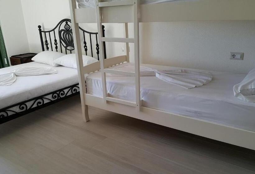 اتاق استاندارد چهارنفره با چشمانداز باغ, Sarajet E Pashait 2