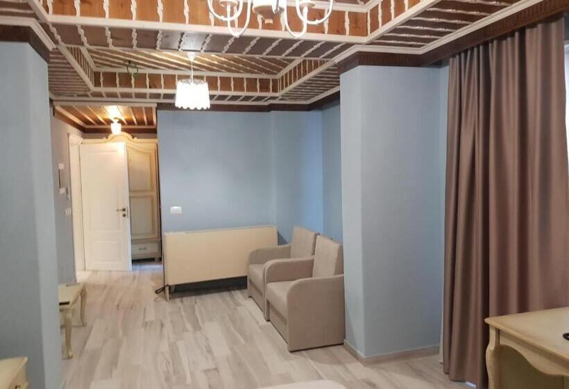 اتاق پریمیوم چهارنفره, Sarajet E Pashait 2