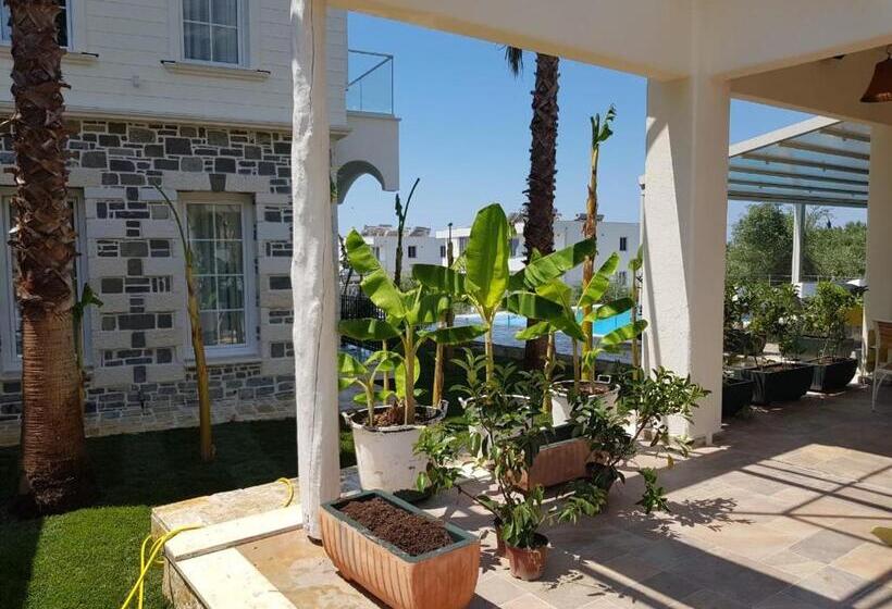 اتاق خانوادگی, Sarajet E Pashait 2