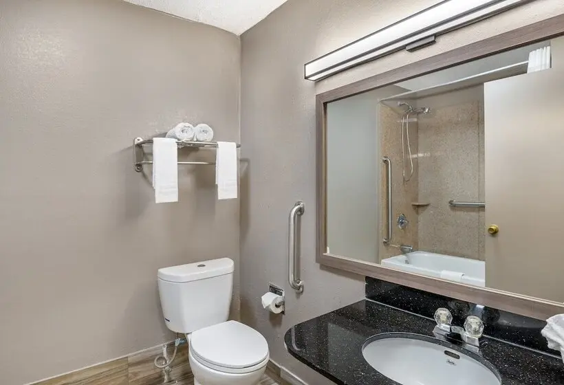 اتاق دلوکس مخصوص معلولین, Red Roof Inn Richmond, Va