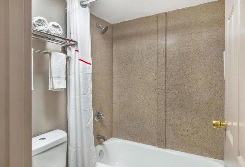 اتاق لوکس با تخت بزرگ, Red Roof Inn Richmond, Va
