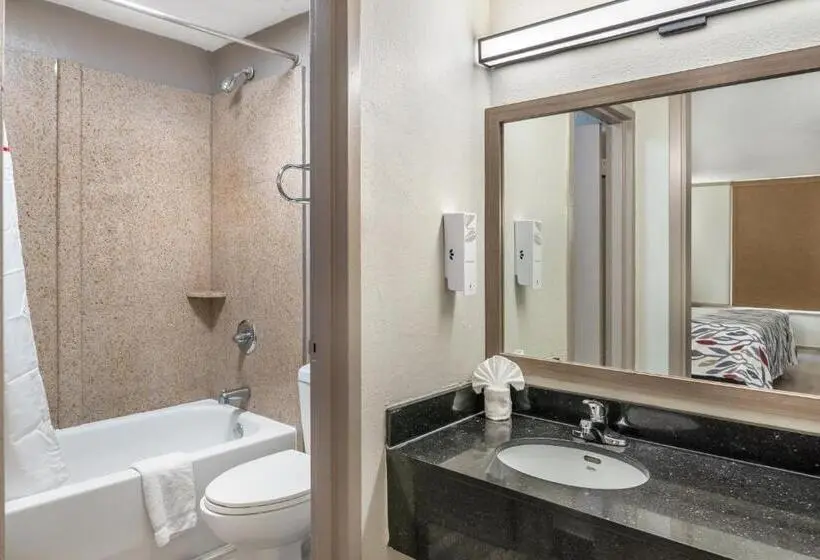 اتاق لوکس با تخت بزرگ, Red Roof Inn Richmond, Va