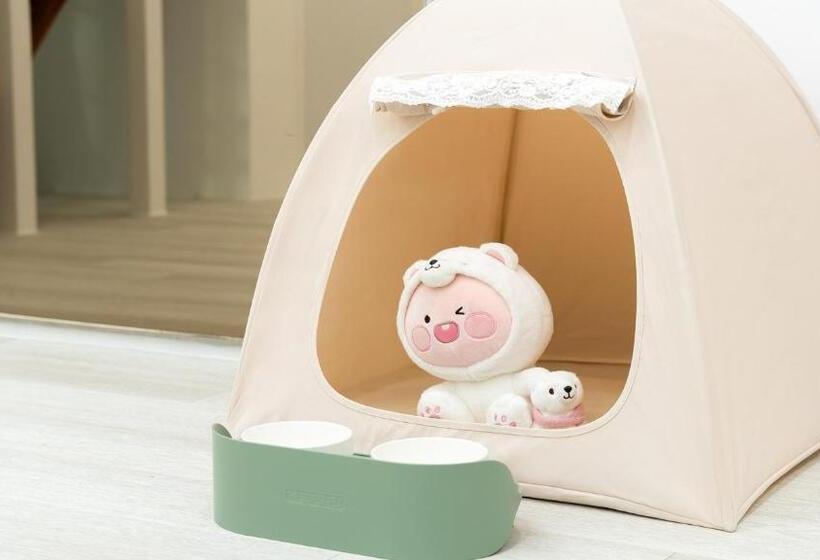 스탠다드 스튜디오, Gapyeong Daengdaengi Dog Pension Silver