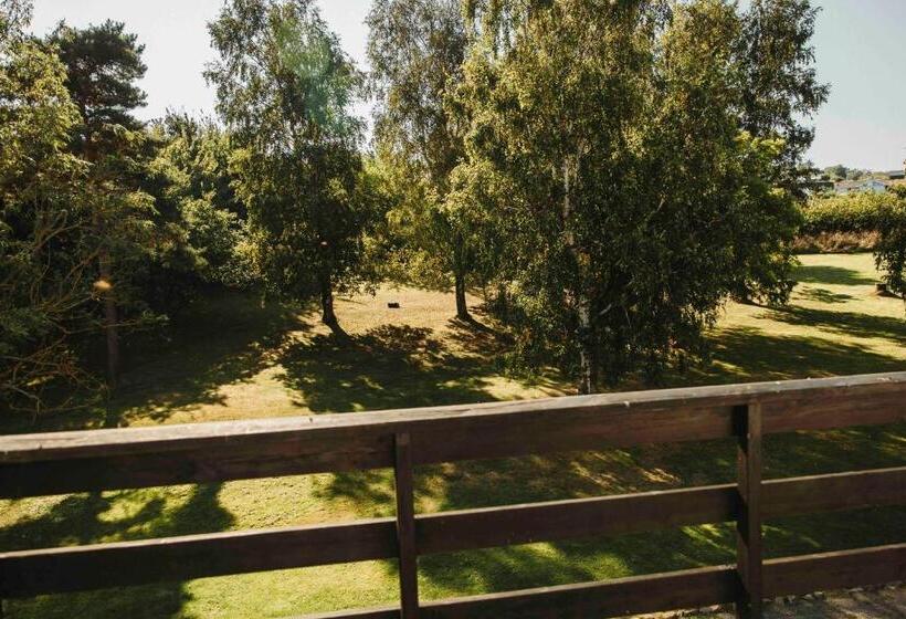 豪华套房, The Falcon