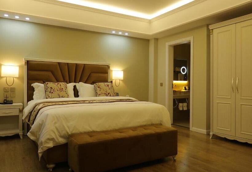 スタンダードルーム, Brais