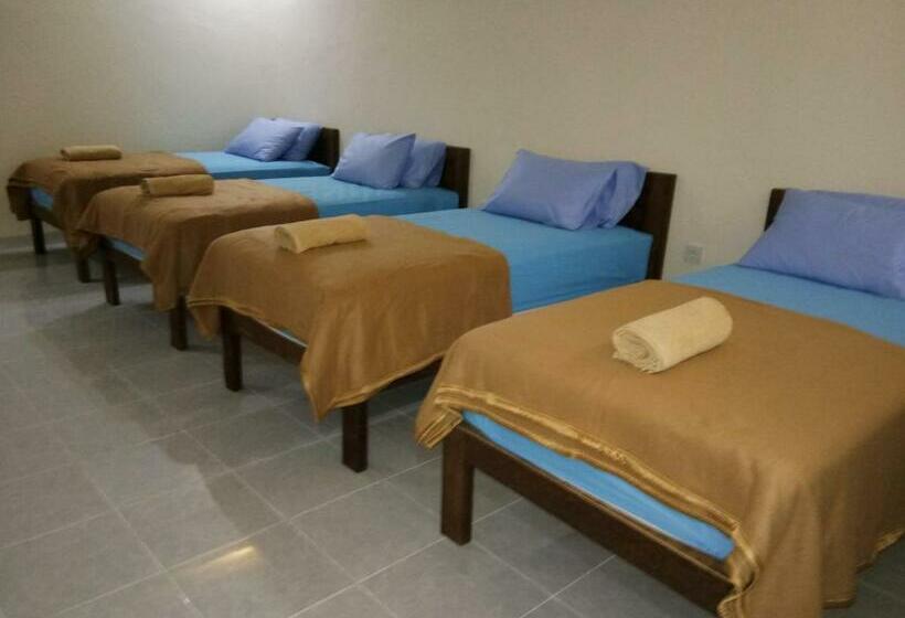 سرير فى غرفة مشتركه, Dhipa Vibes