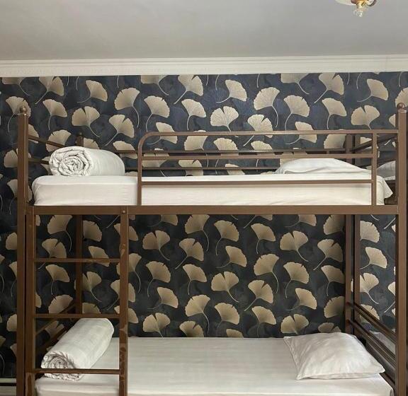 تختخواب در اتاق مشترک, Sunny Hostel