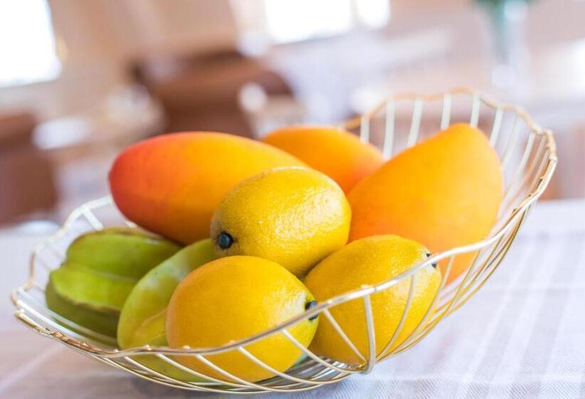 إستوديو قياسى, Enoca