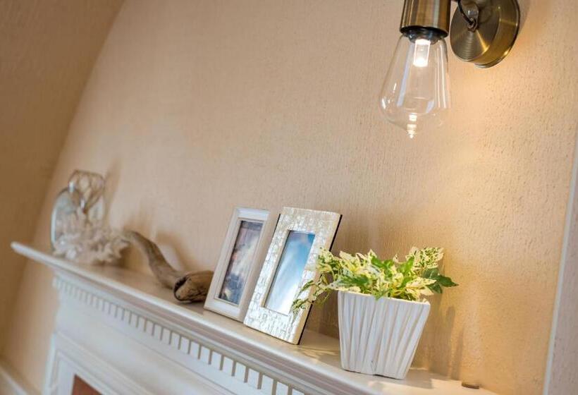 标准工作室, Enoca